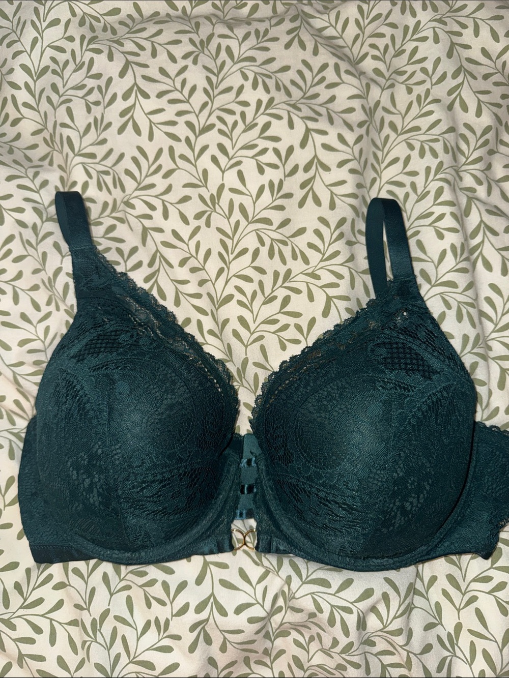 Aerie Real Power Plunge Push-Up Paisley Lace Bra